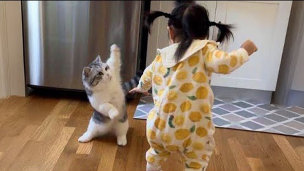 Baby Reactions That Will Make You Laugh Instantly 2026! 🤣 Try Not To Laugh Challenge!