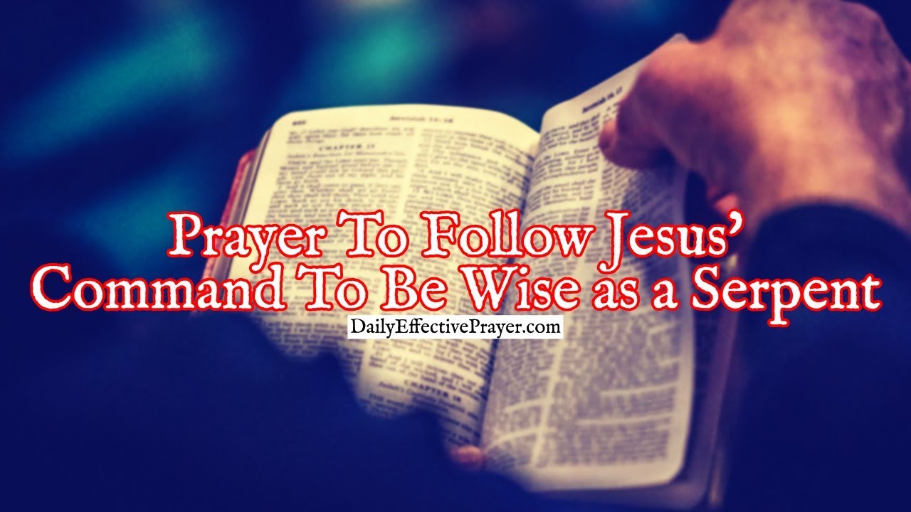 Prayer To Follow Jesus' Command To Be Wise as a Serpent