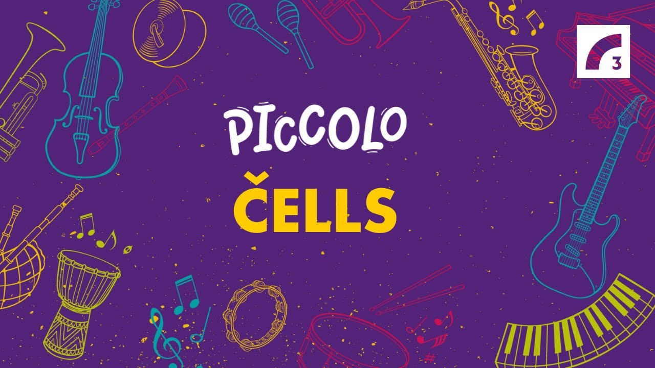PICCOLO | Čells