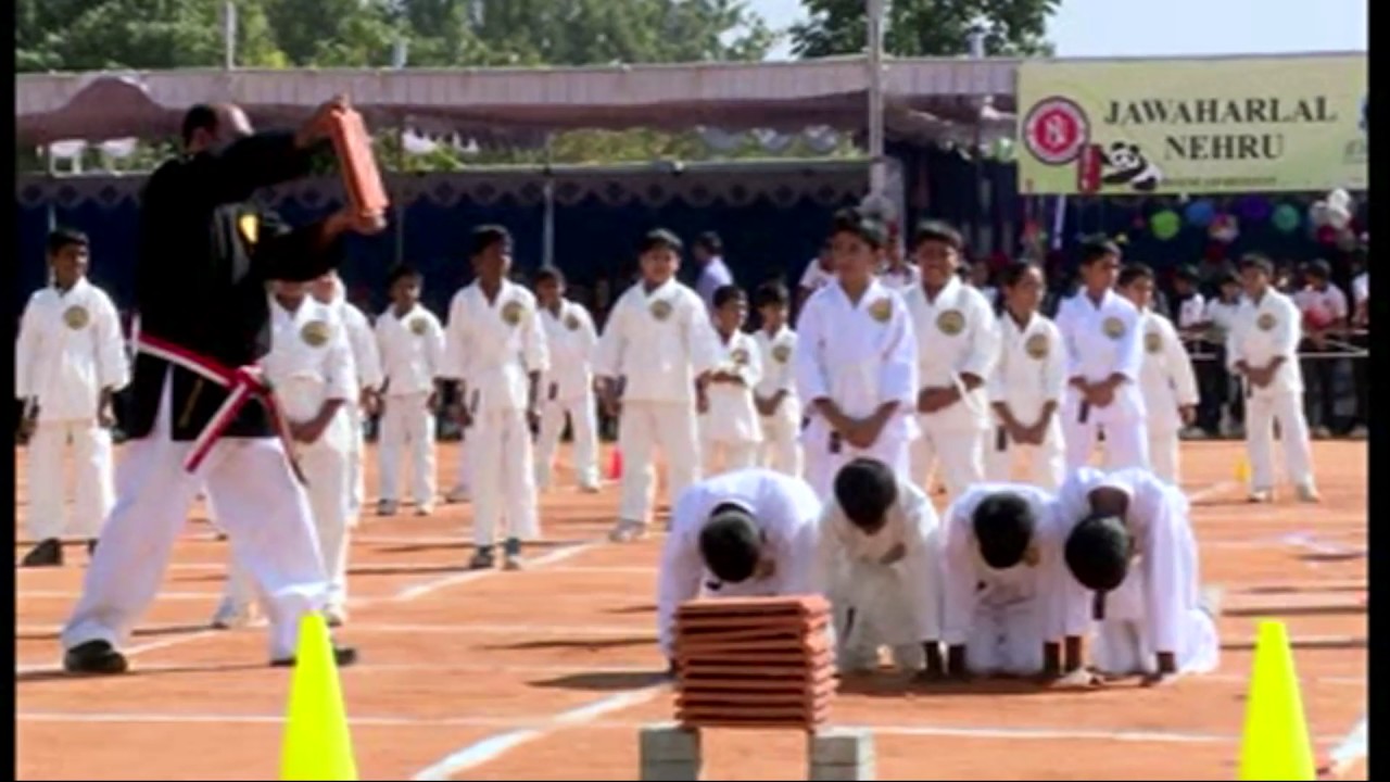 Ninth Annual Sports Day - Karate Display