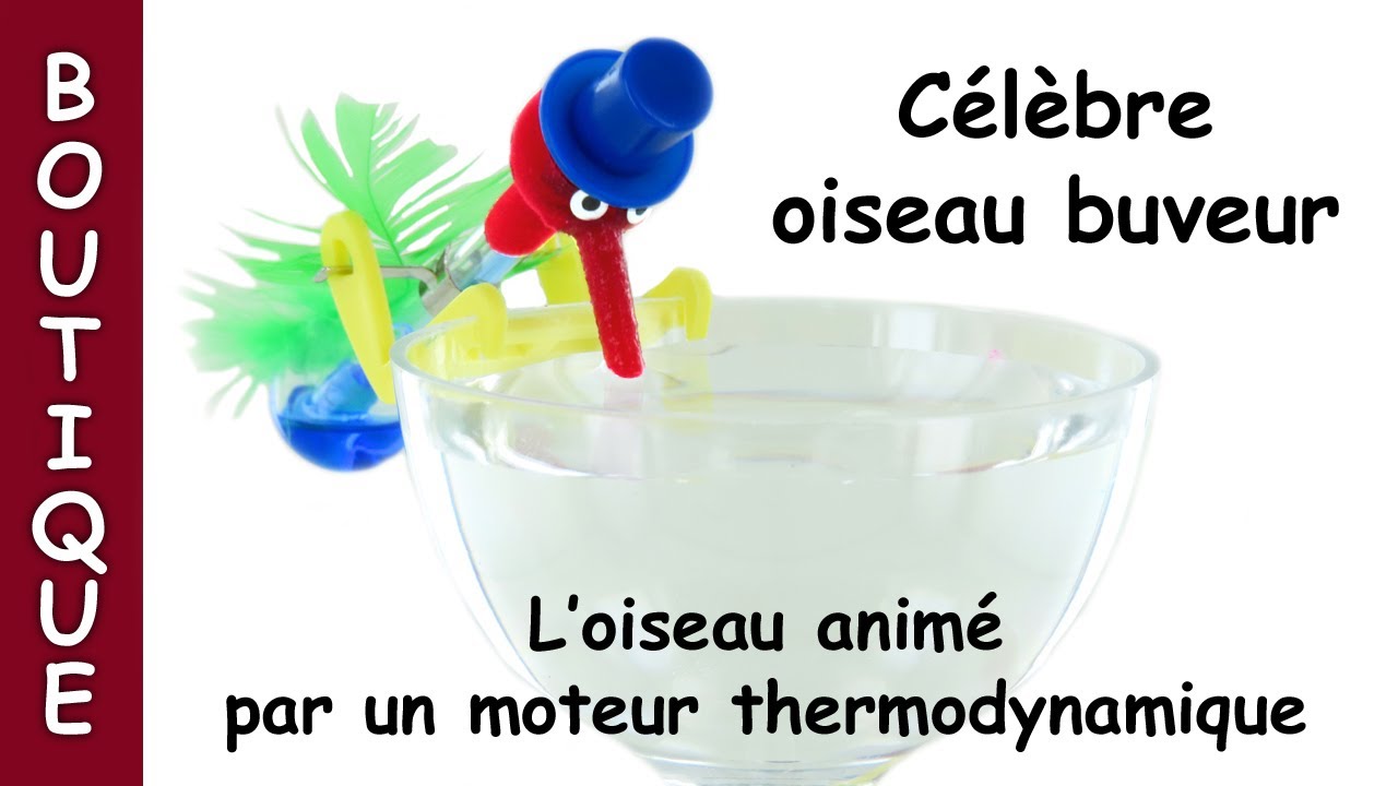 Célèbre jouet automate oiseau buveur dans un verre à eau ou une coupe à champagne - Lutèce Créations