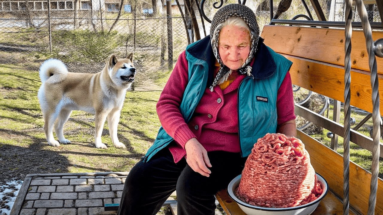 Hard Life of a Lonely Grandmother in the Carpathians – A Heartwarming Story of Strength and Love!