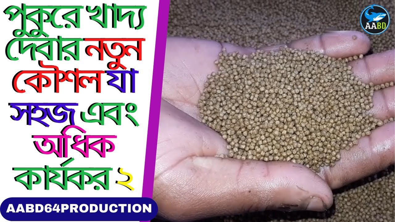 মাছের খাদ্য প্রদানের সবচেয়ে ভাল ও অধিক কার্যকর পদ্ধতি (Most effective way of fish feeding in Pond)