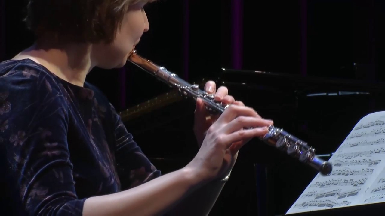 Kuhlau Trio for Flute, Bassoon, & Piano, Op. 119