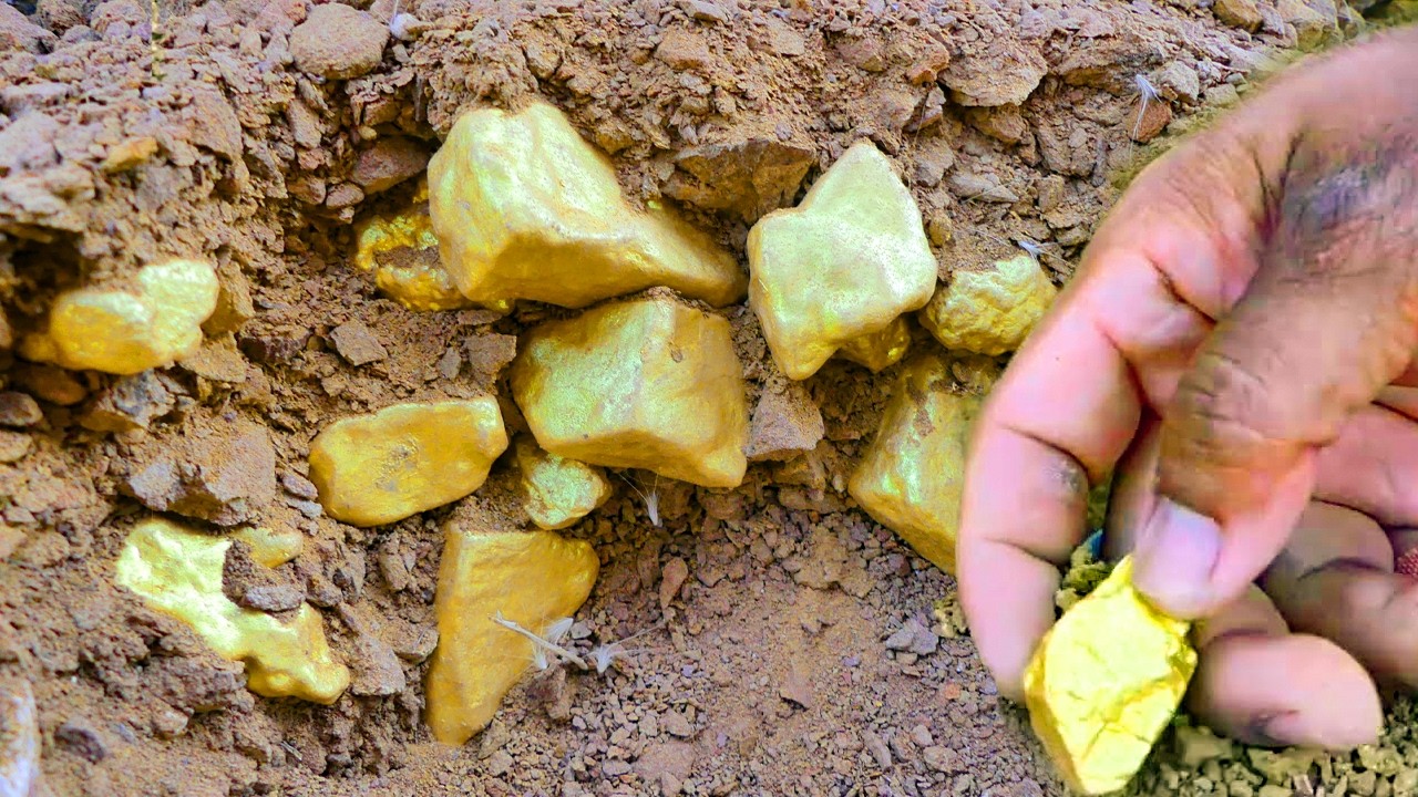 Gold Rush Moment! Digging Up Huge Natural Gold Nuggets!