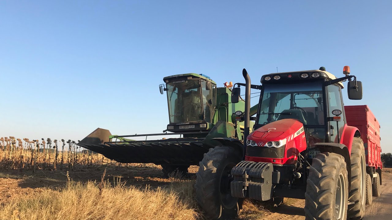 Ayçiçeği hasadı John Deere 955 & Massey Ferguson 5440