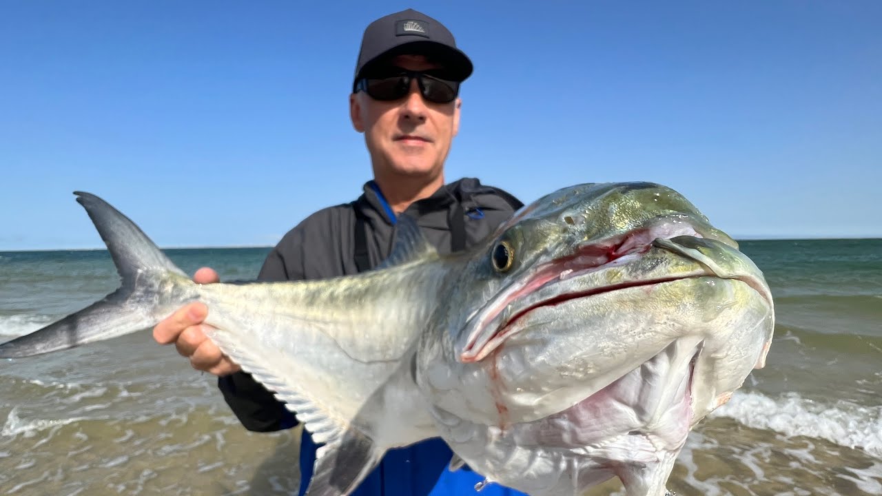 Lee Smith in combat with a Moroccan Leerfish / pêche a la lîche / dakhla pêche, fishing in Morocco