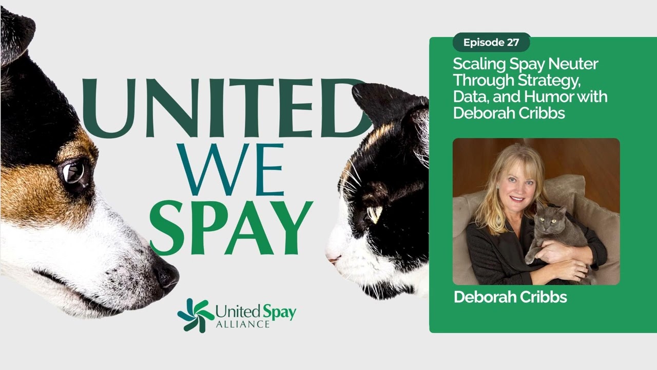 Scaling Spay Neuter Through Strategy, Data, and Humor with Deborah Cribbs
