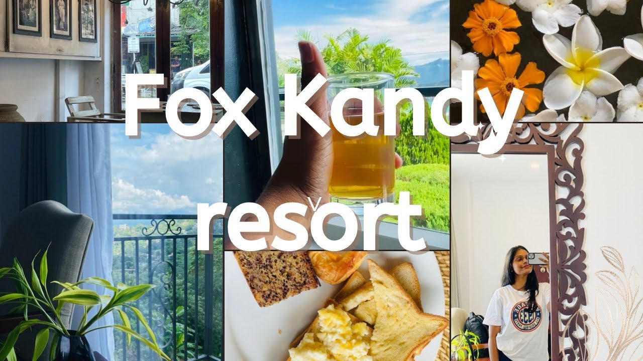 එන්න Fox resort Kandy එකට යමූ 📍☺️ |kandy |fox resort |travel ☺️🫶🏽