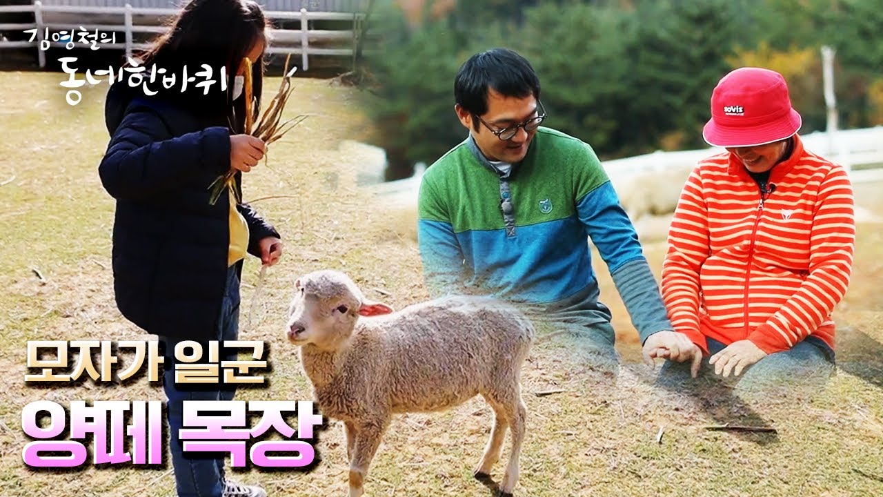 [김영철의 동네 한 바퀴] 가족 모두가 지킨 단 하나의 땅, 모자의 🐑양떼 목장 “일렁이다 그 마음 - 경남 남해” (KBS 20211204 방송)