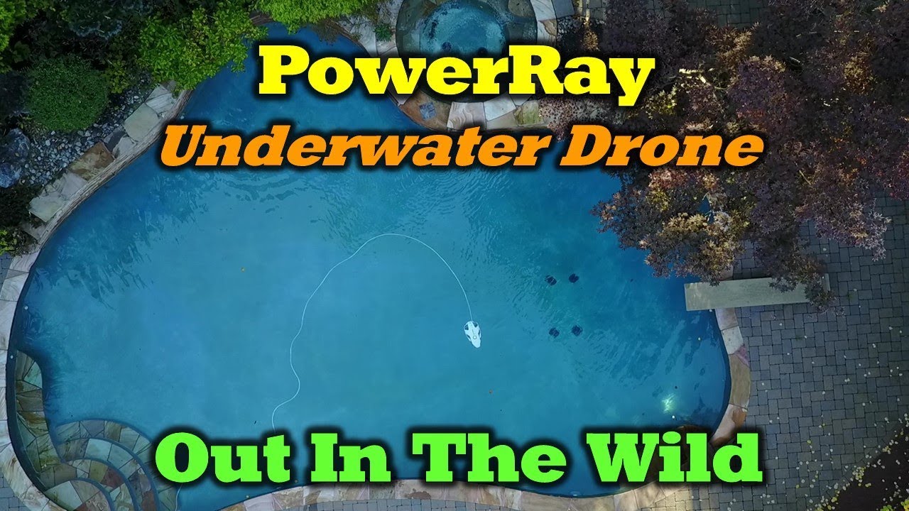 Powervision PowerRay - Out In The Wild - Review and Underwater Footage