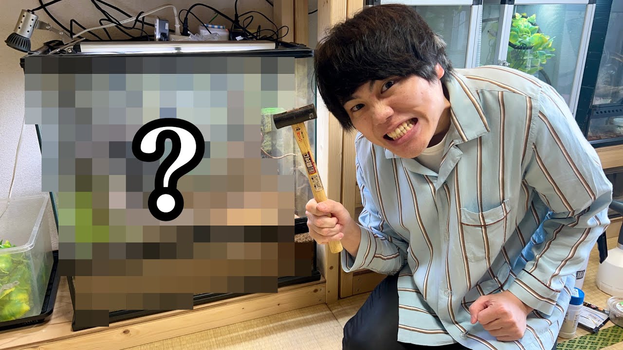 やっぱりもう一度挑戦します！
