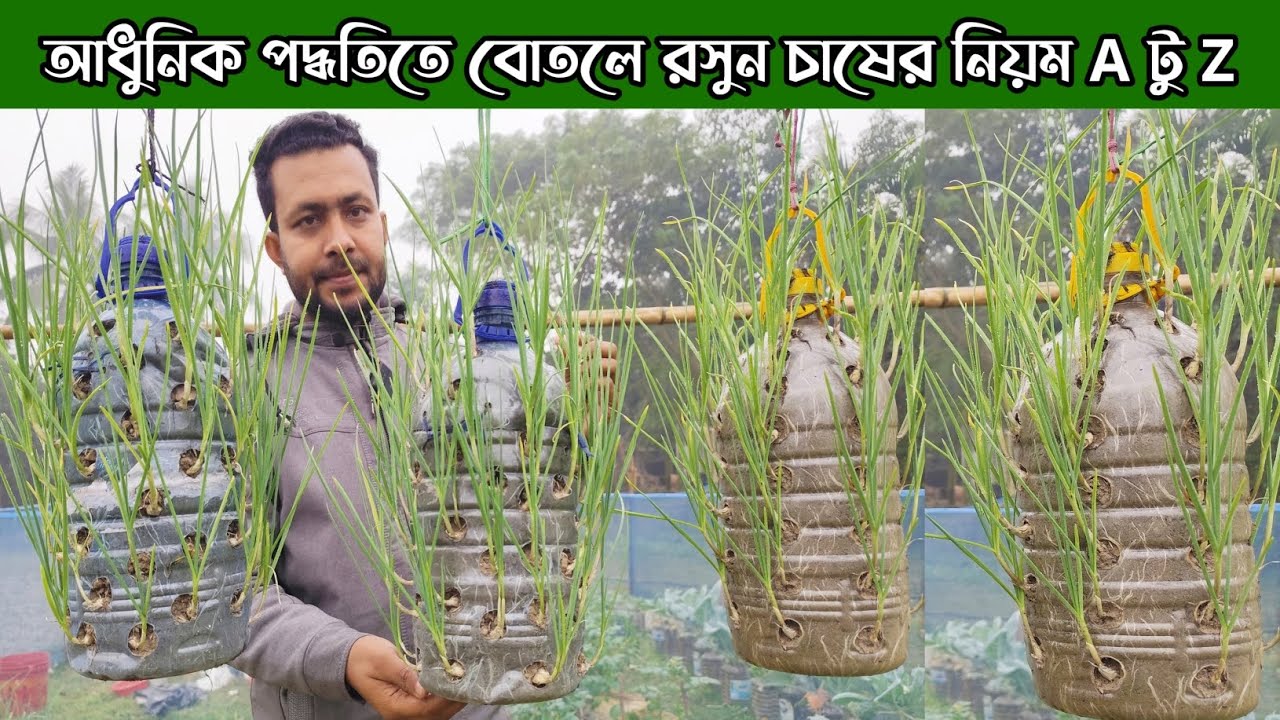 বোতলে রসুন চাষ পদ্ধতি।। আধুনিক পদ্ধতিতে রসুন চাষ।। A টু Z নিয়ম।।