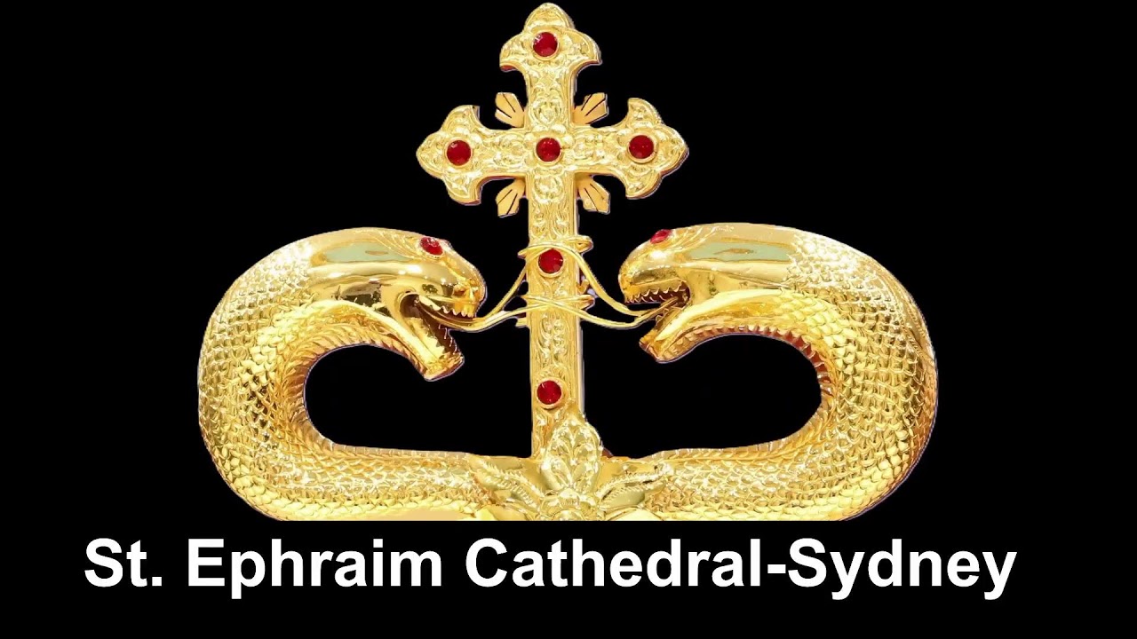 Third Sunday of the Lent and healing of the Paralytic March 8, 2026_Afternoon Mass