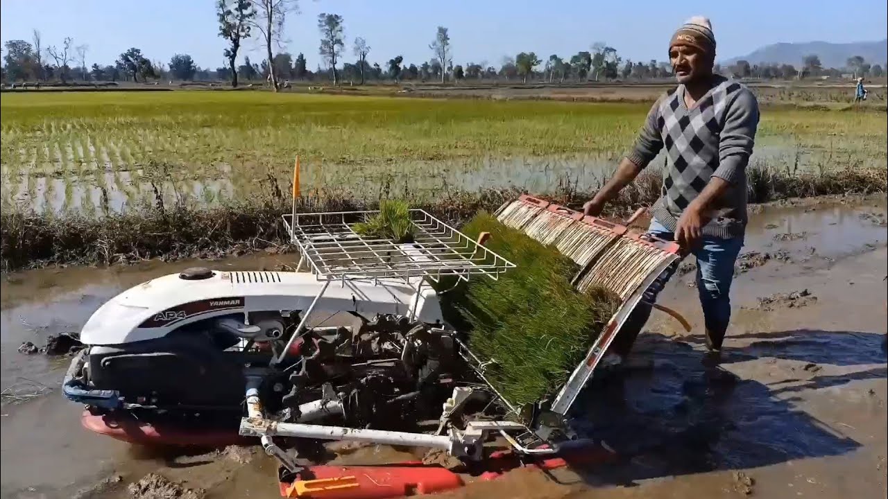 Setting Done For plantation|| yanmar AP4 Rice Transplanter 🌾