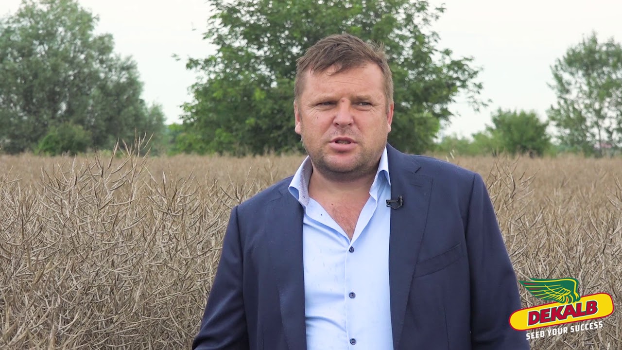 Rapita DEKALB in fermele AgroMad Crops - interviu Ion Olteanu