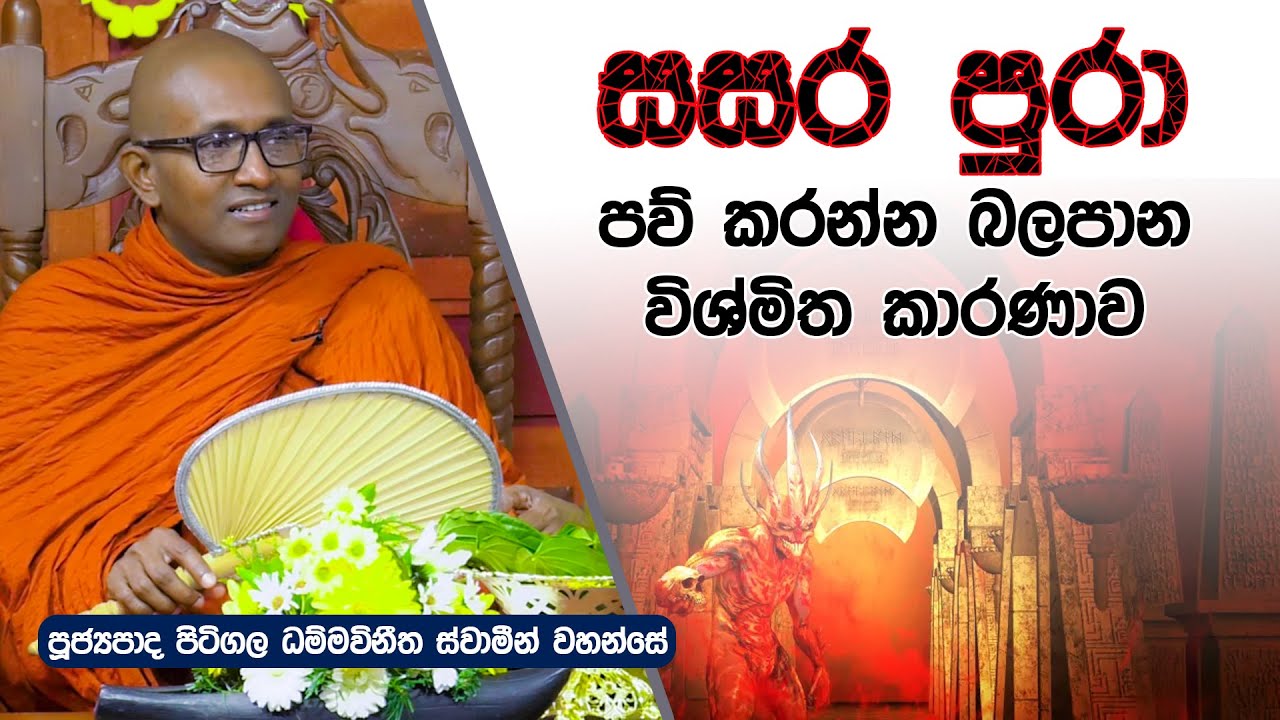 සසර පුරා පව් කරන්න බලපාන විශ්මිත කාරනාව | Pitigala Dhamma Vineetha Thero | Dharma Deshana | D 0482
