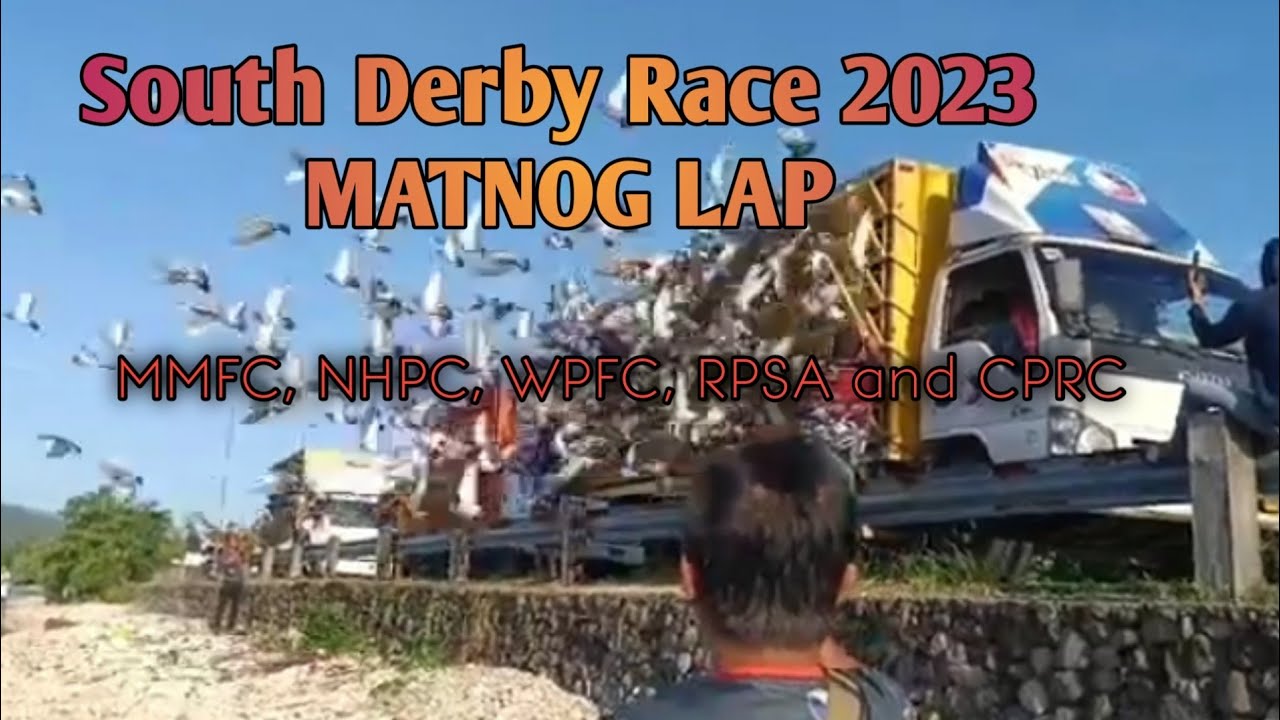 SDR 2023, Five Big time Pigeon Clubs in Manila released at Matnog Sorsogon.. #wpfc #mmfc #kalapati