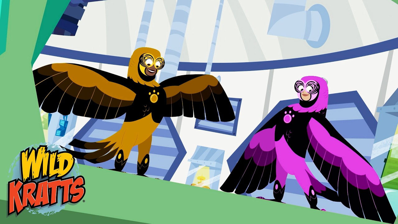 Transforming Into a Parrot | Creature Transformations | Wild Kratts