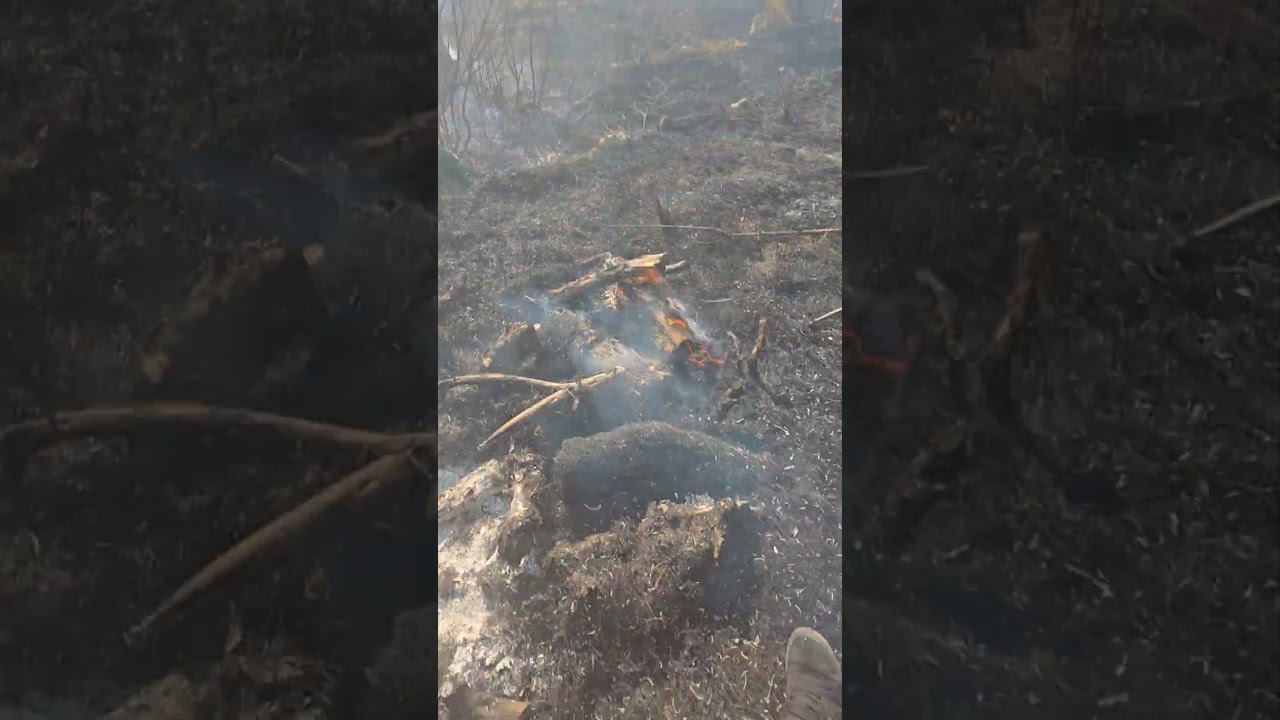 I went inside a forest fire in Croatia