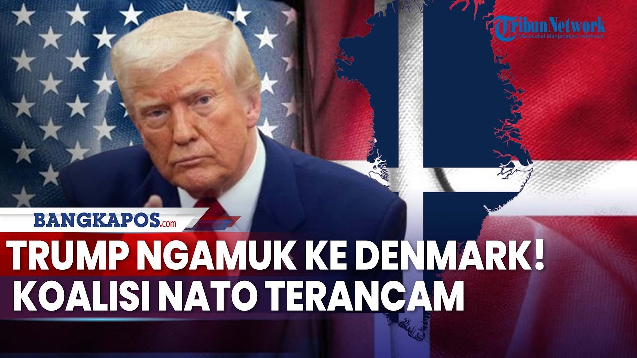 Update Konflik Dunia: Trump Ngamuk! Pejabat Denmark Bela Rusia dan China, NATO Terancam Bubar