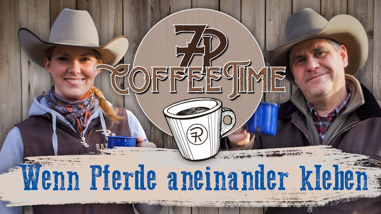 Wenn Pferde aneinander kleben | 7P CoffeeTime ☕