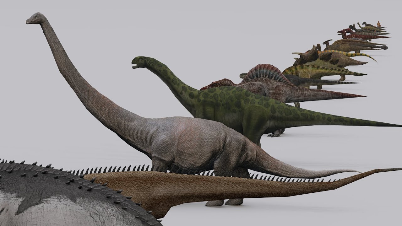 Dinosaur Size Comparison 3D