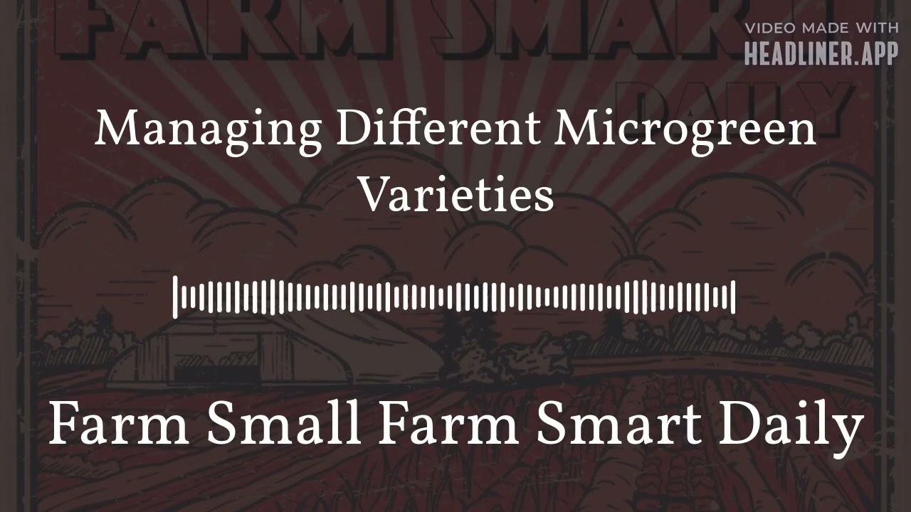 Managing Different Microgreen Varieties | Farm Small Farm Smart Daily