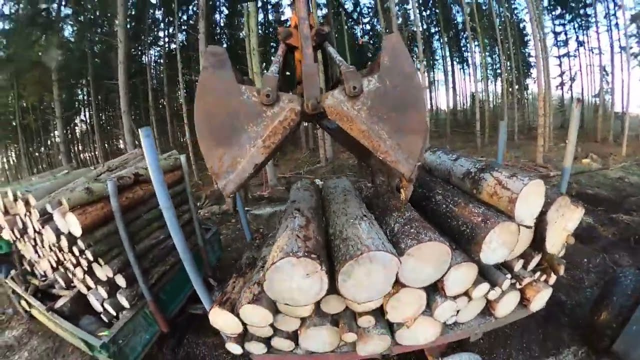 HofVlog:28-2 Wir holen das Holz endlich rein