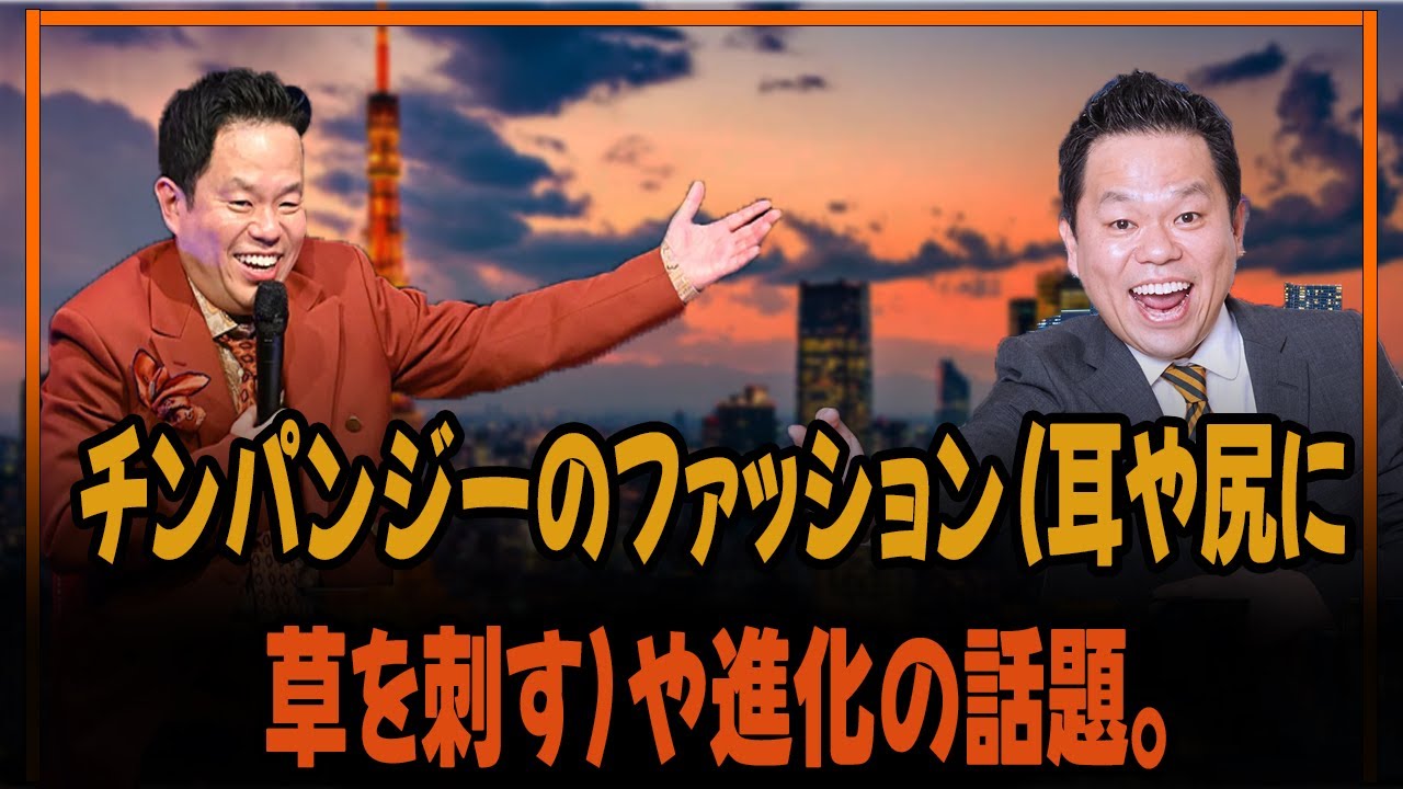 チンパンジーのファッション（耳や尻に草を刺す）や進化の話題。