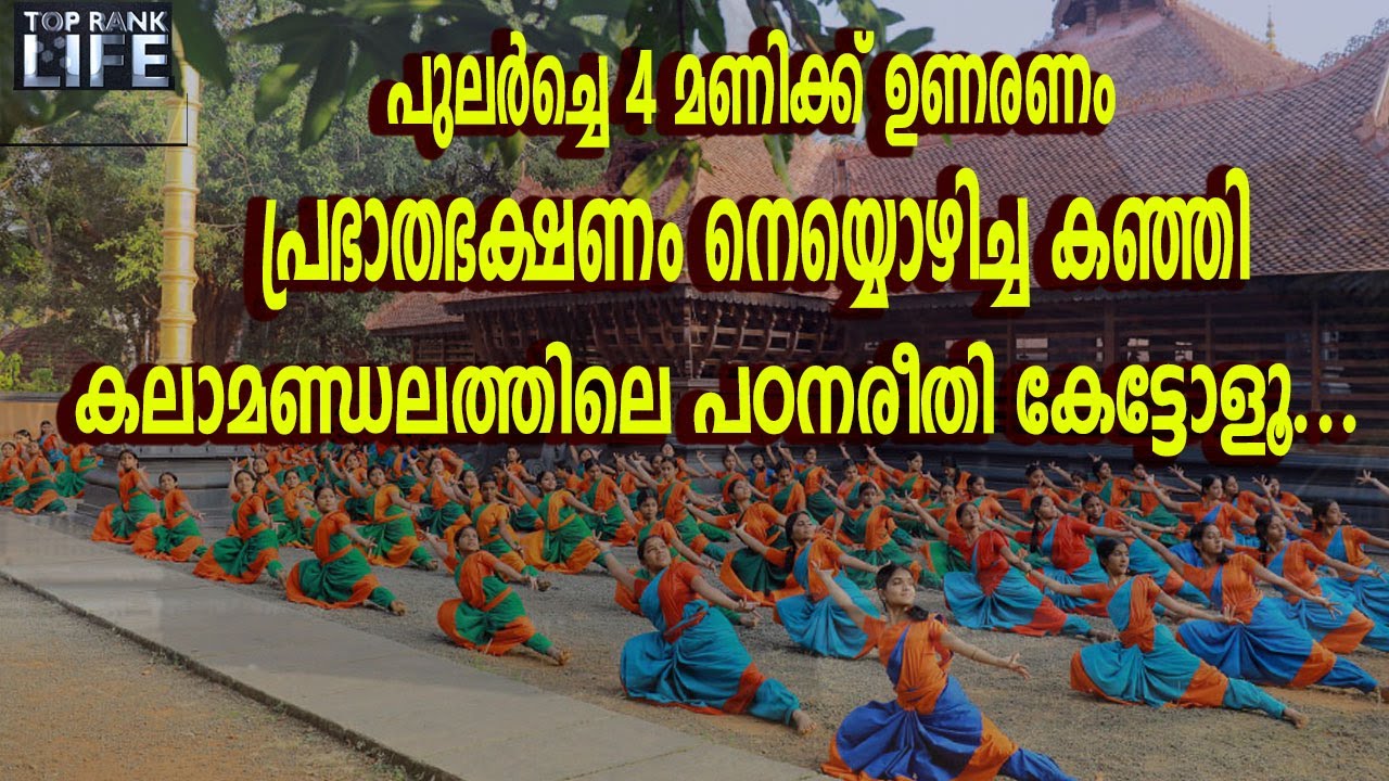 കലാമണ്ഡലത്തിലെ വ്യത്യസ്തമായ പഠനരീതി എങ്ങനെ ?|KALAMANDALAM CLASSES