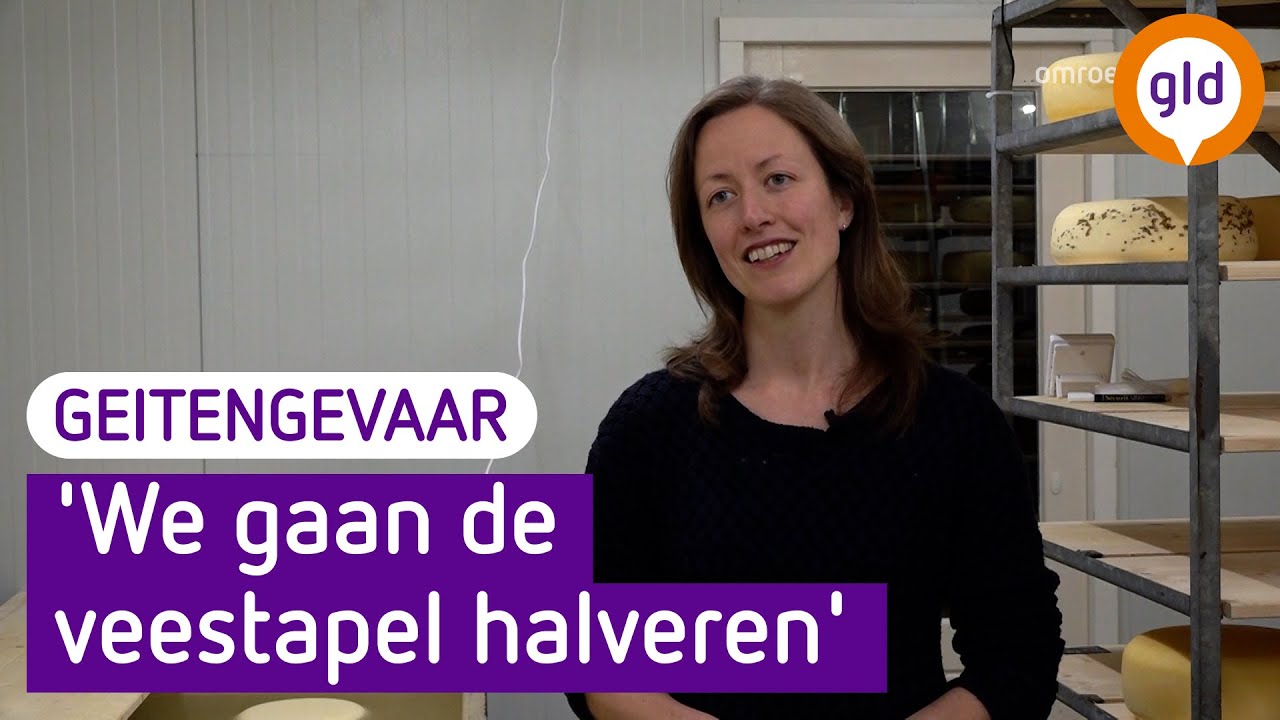 Joanne wil boerderij kopen en het anders gaan doen | Omroep Gelderland