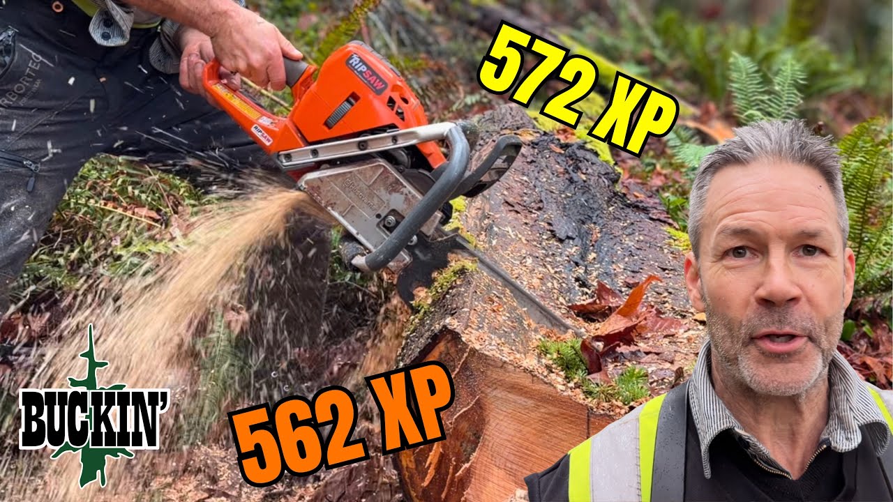 These Two Chainsaws Just Keep Impressing Me