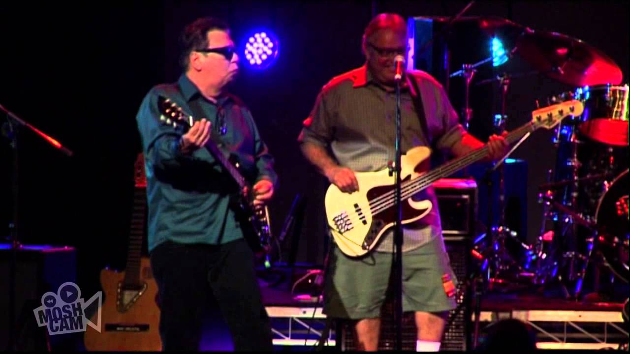 Los Lobos - Chuco's Cumbia (Live in Sydney) | Moshcam