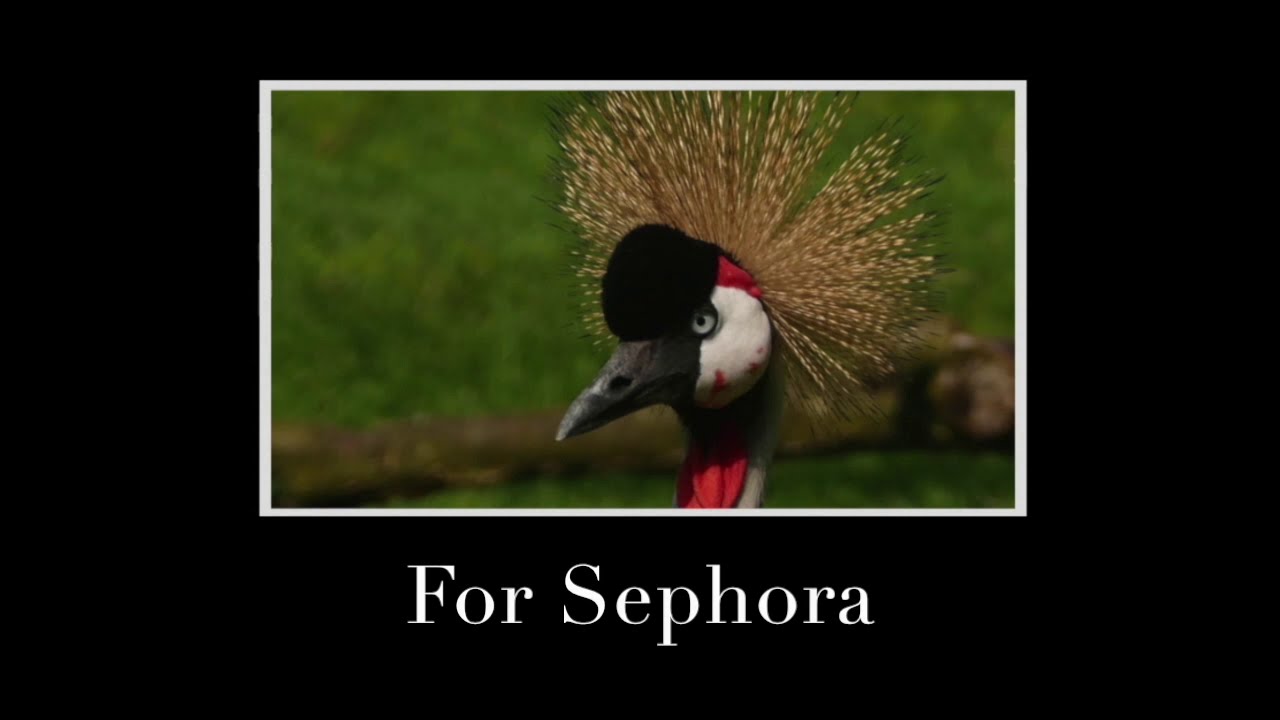 For Sephora (Rosenberg) Gypsy backing track + music sheet for Bb instruments