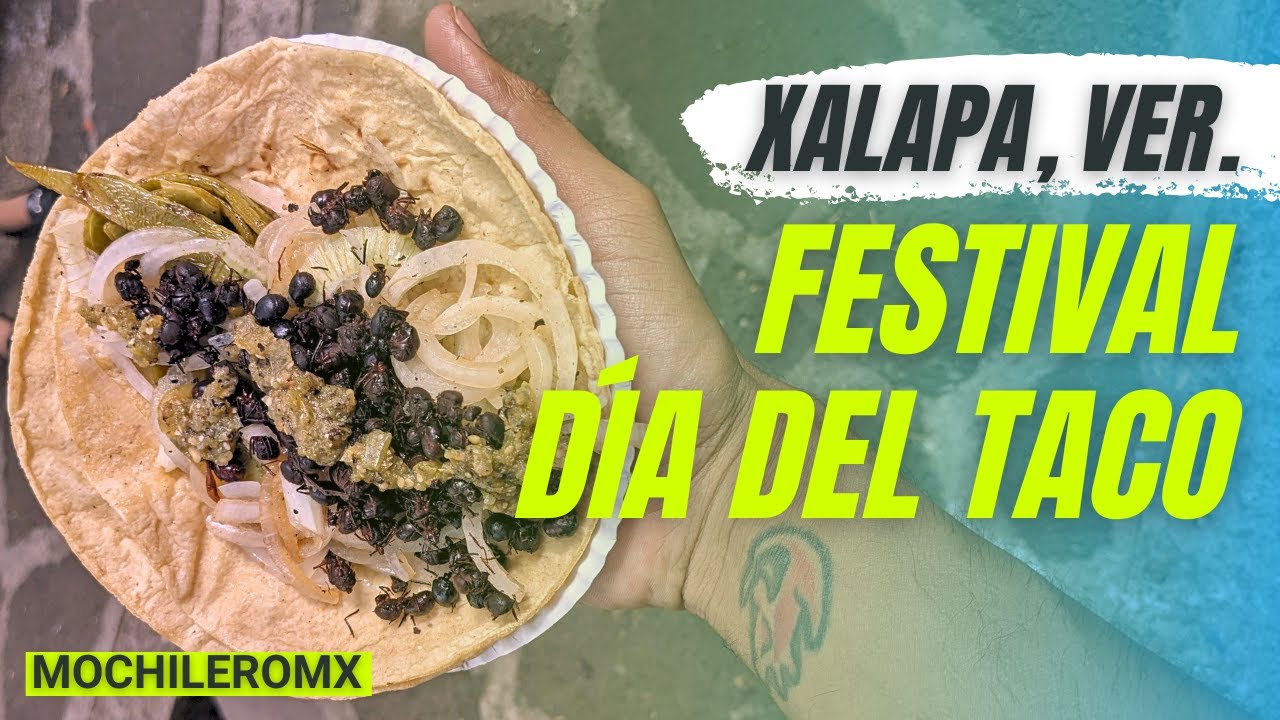 Tacos de Hormiga Chicatana, de Jamaica y Pastor Negro | Festival Día Nacional del Taco Xalapa 2023 |