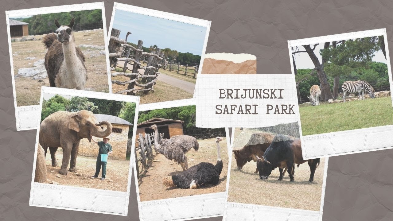BOJE ZEMLJE Brijunski safari park
