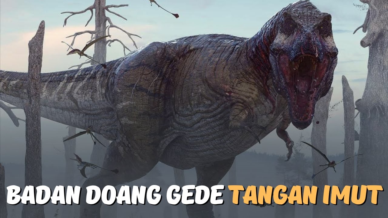 Badan Doang Gede , Tangan Lite : Tyrannosauridae