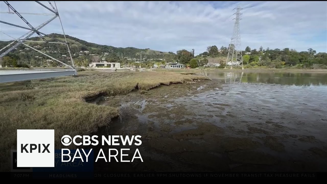 San Rafael weighing options to protect Canal District from flooding