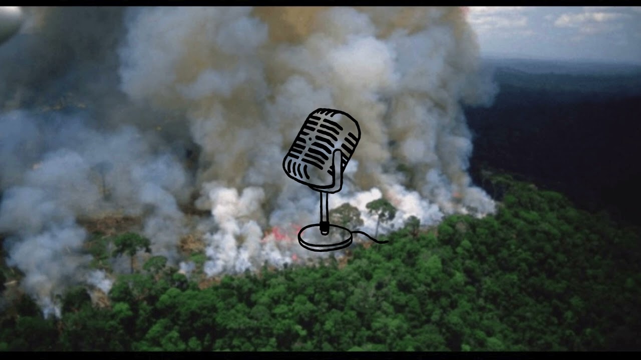POSCAT SOBRE LA DEFORESTACIÓN Y EL MEDIO AMBIENTE 🪾🌳 - DANIELA YLLANES MACEDO 