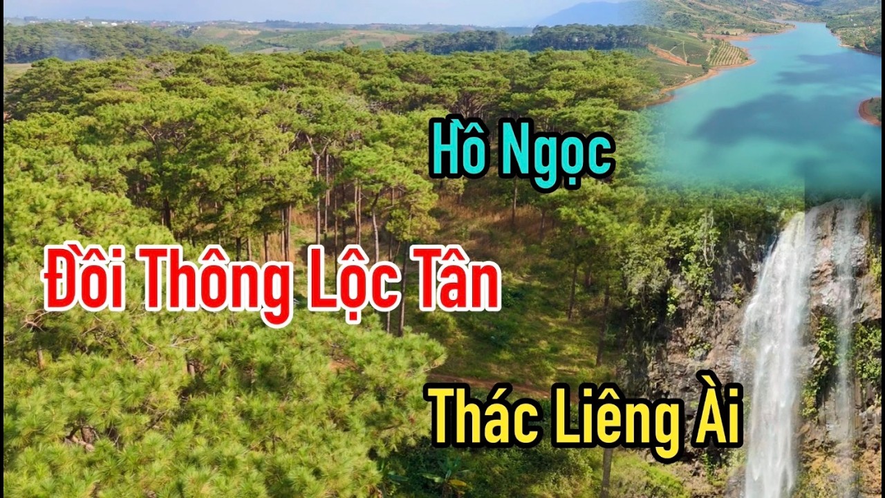 Thăm đồi thông không tên ở Lộc Tân trên cung đường vào Hồ Ngọc và Thác Liêng Ài ở Bảo Lâm.