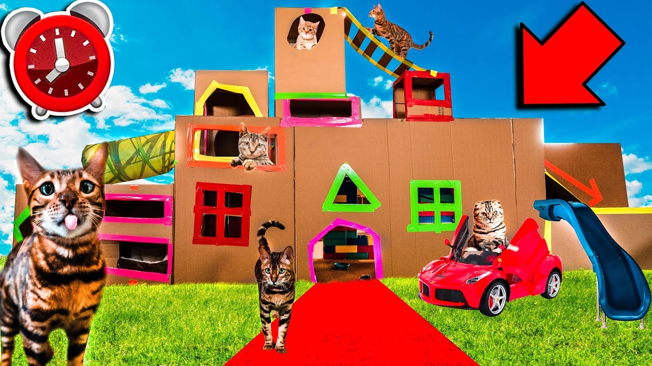 24 Hour 5 STORY CAT HOTEL Box Fort