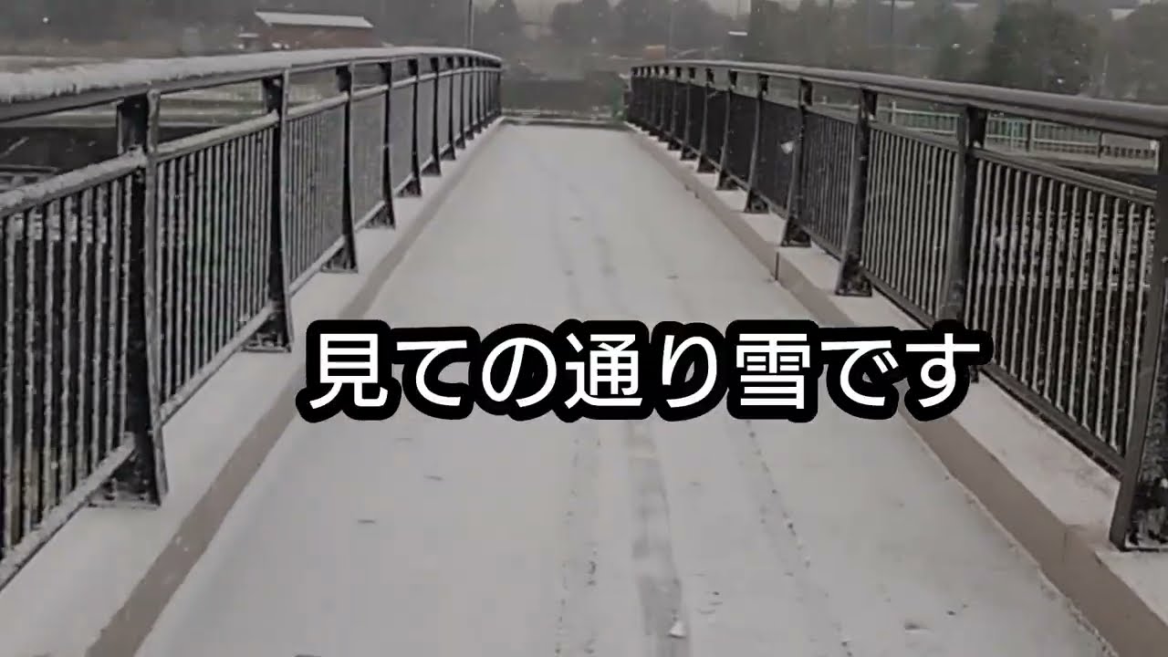 日曜出勤　＃雪景色　雪にも負けず出勤