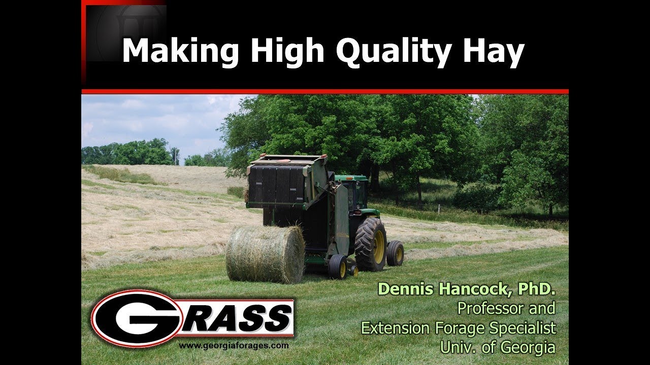 Making High Quality Hay