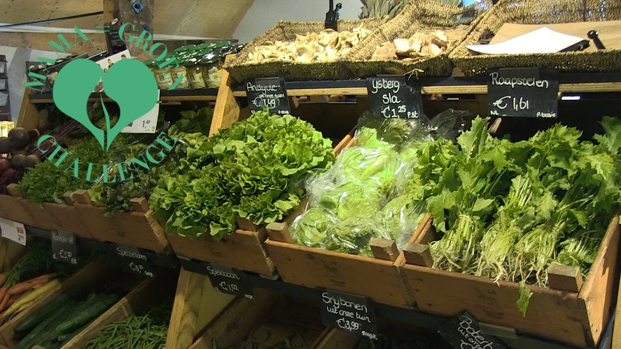 DAG 3: Groen en duurzaam eten; where to start?!