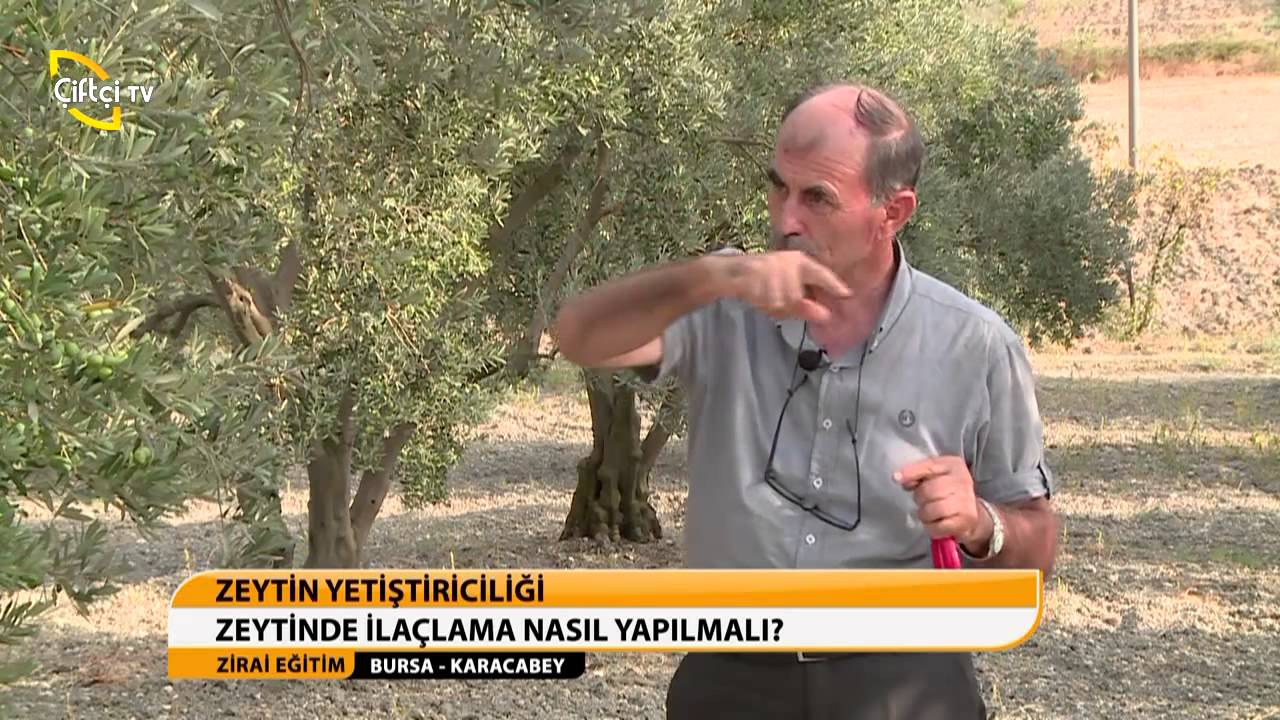 ZİRAİ EĞİTİM/ZEYTİN YETİŞTİRİCİLİĞİ-BURSA/KARACABEY
