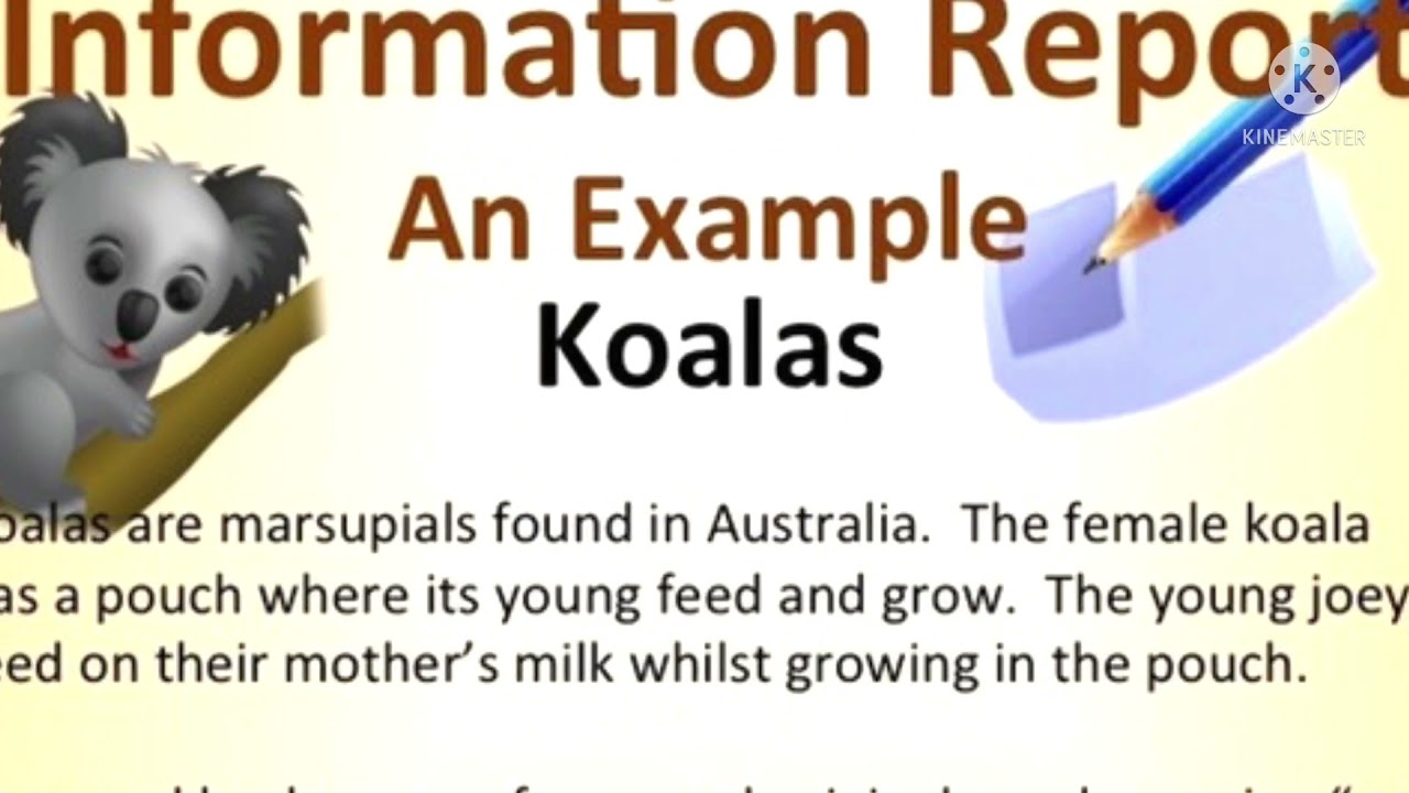 How to Write an Information Report
