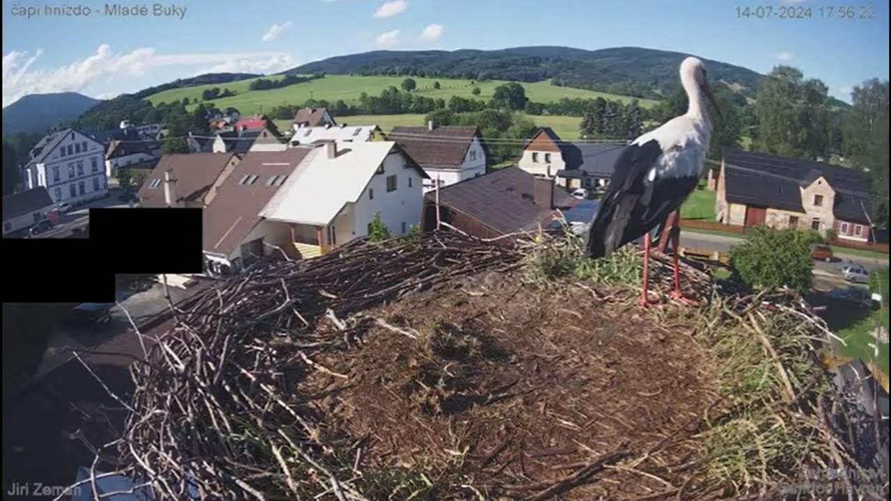 Bucifálek dnes přepsal Bukáčkova pravidla 14.7.24