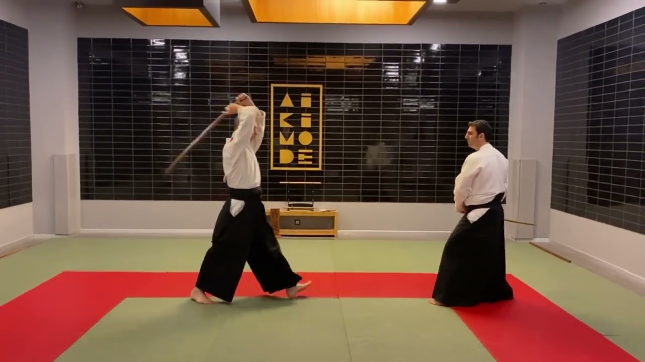 Aiki Ken