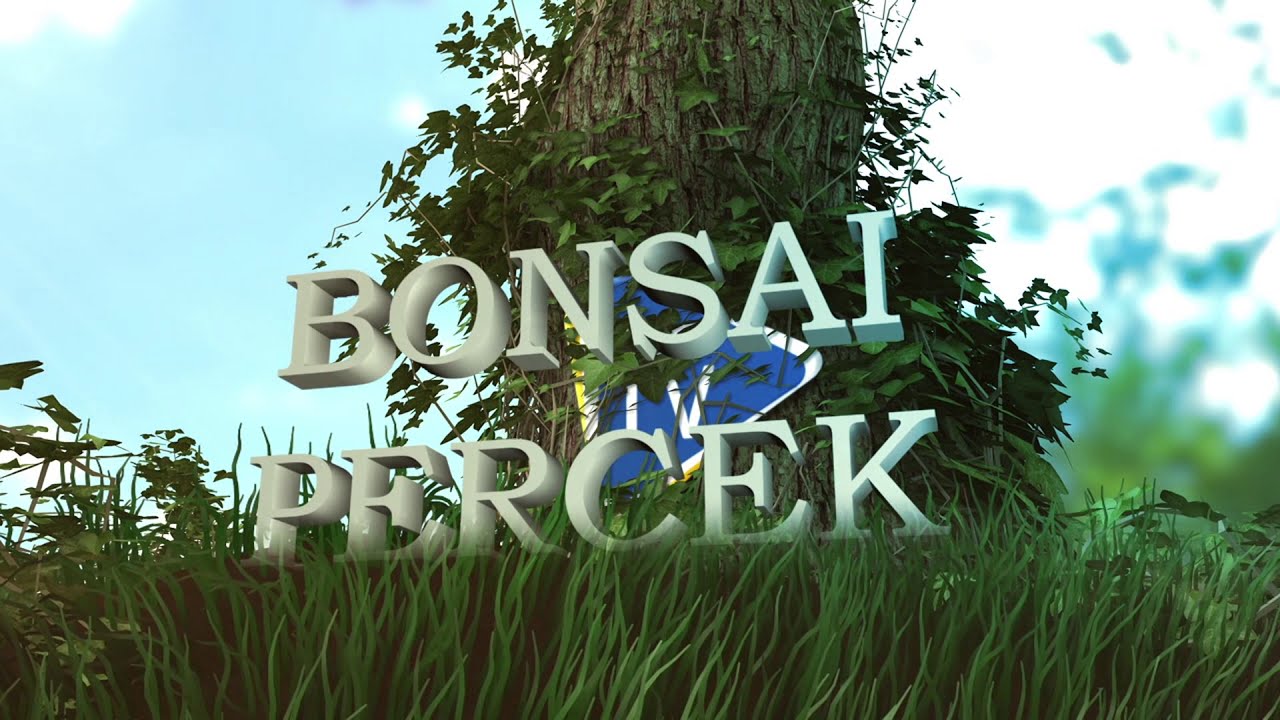 Bonsai percek - Milyen tálat válasszunk a bonsaiunknak?